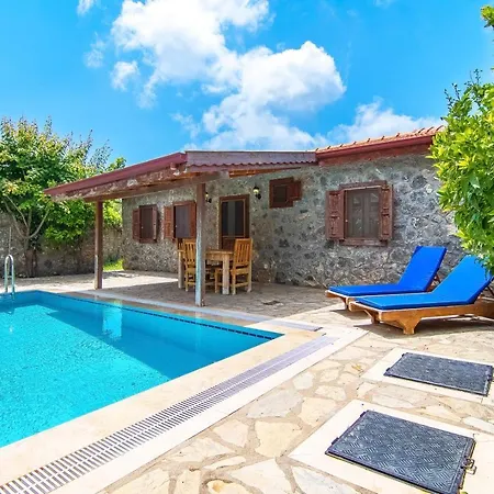 Villa Tek Katli Havuzu Korunakli