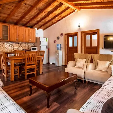 Tek Katli Havuzu Korunakli Villa
